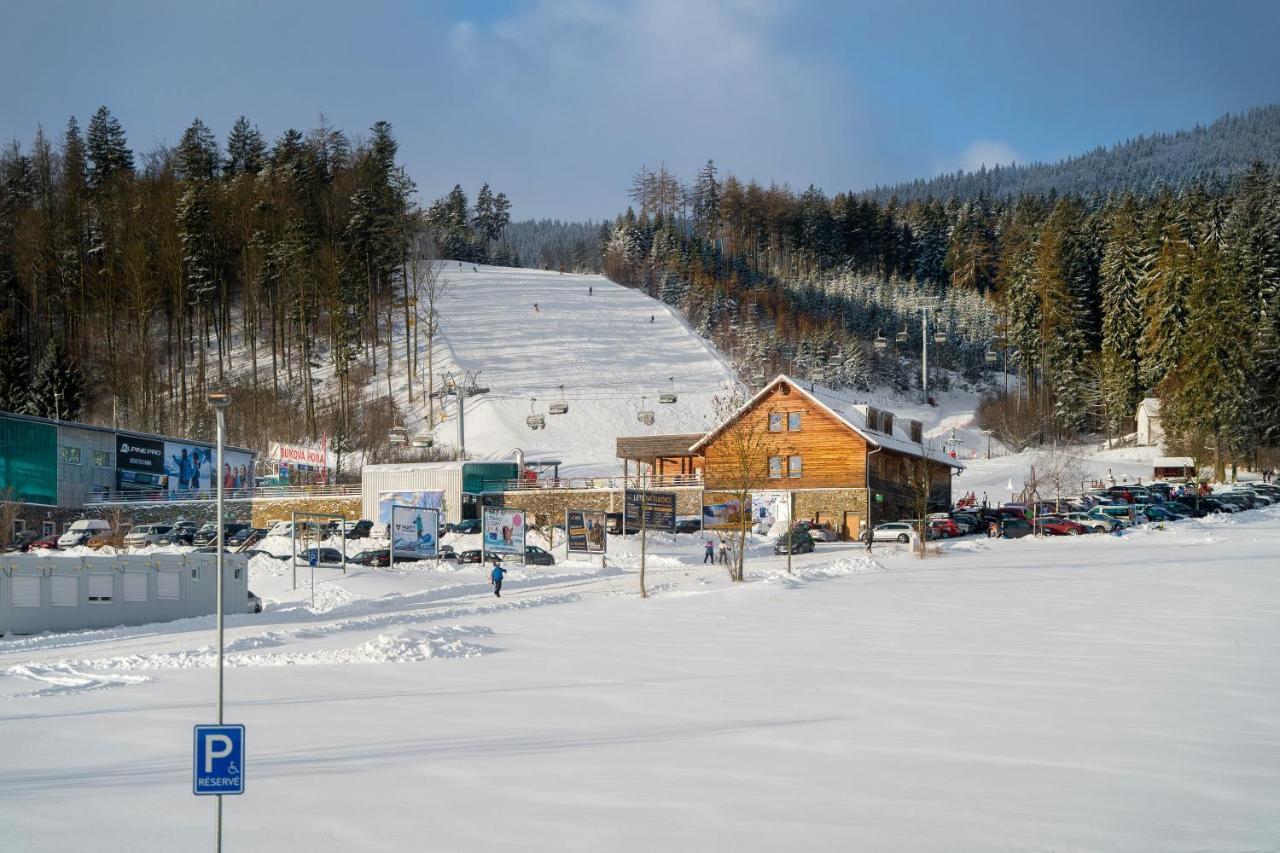 Apartman U Sucheho Buku - Bukova Hora Červená Voda Buitenkant foto