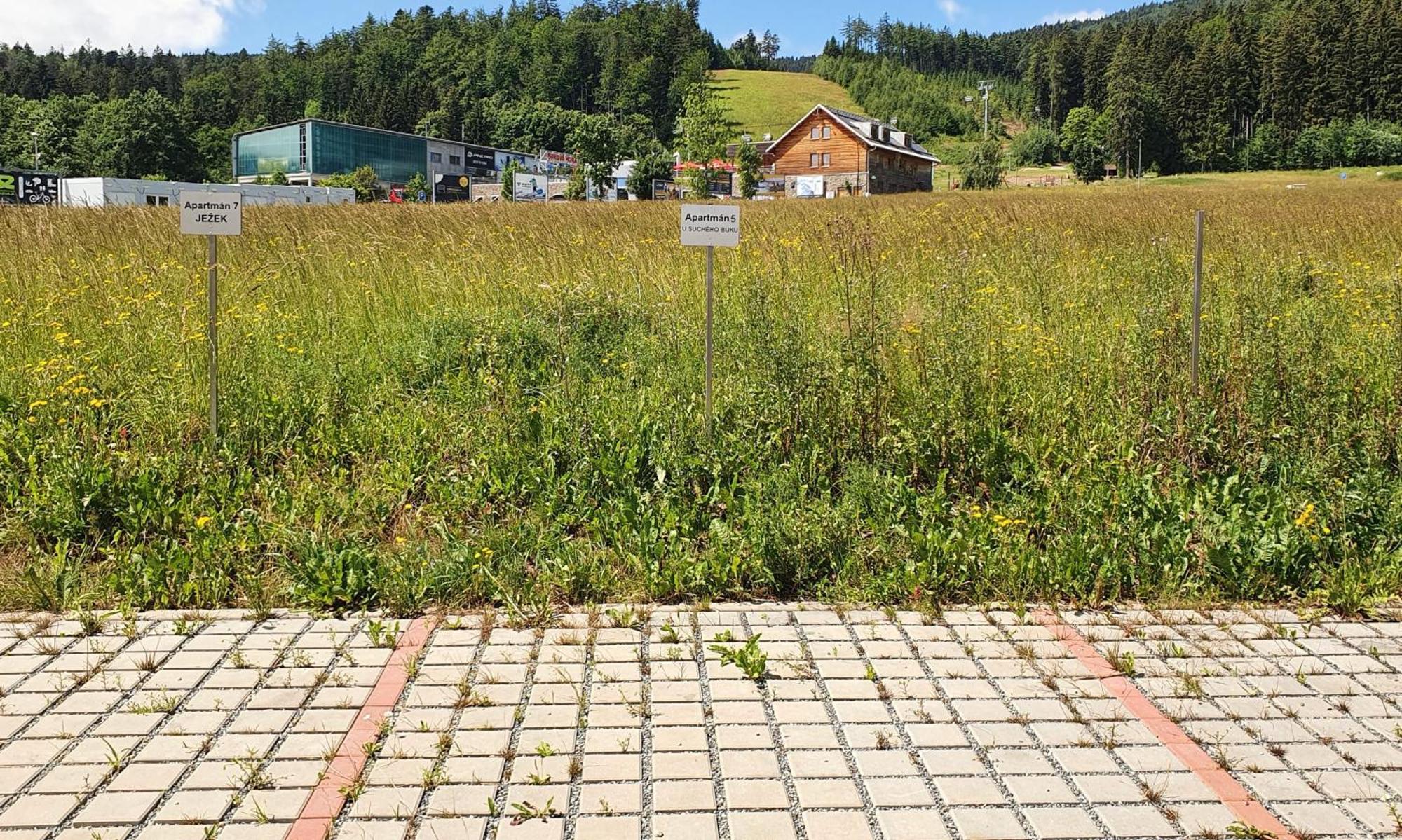 Apartman U Sucheho Buku - Bukova Hora Červená Voda Buitenkant foto