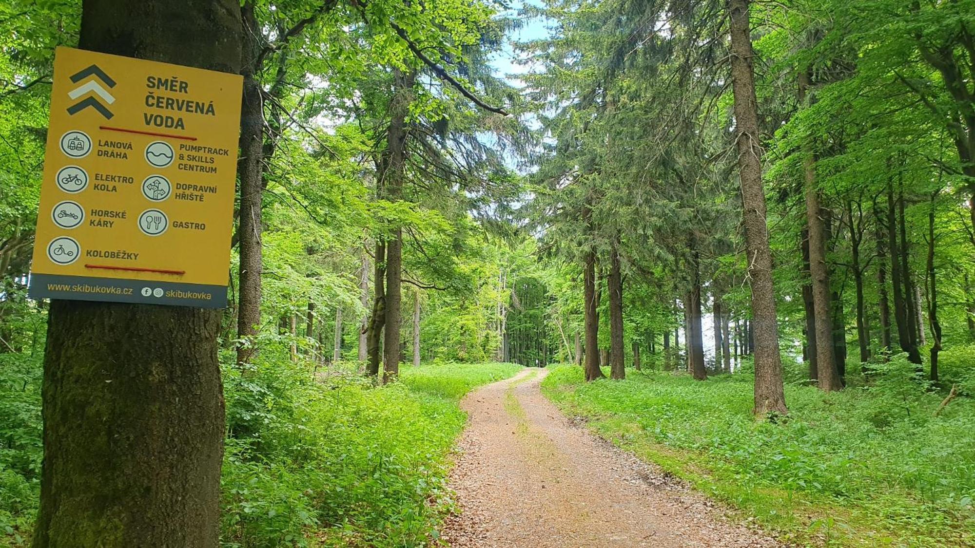 Apartman U Sucheho Buku - Bukova Hora Červená Voda Buitenkant foto